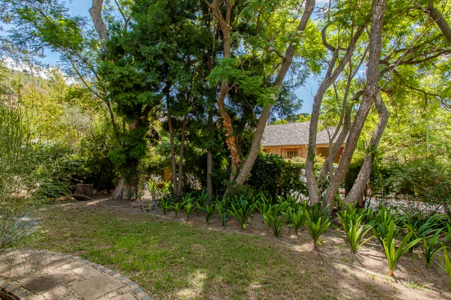 To Let 3 Bedroom Property for Rent in Buitenverwagting Western Cape
